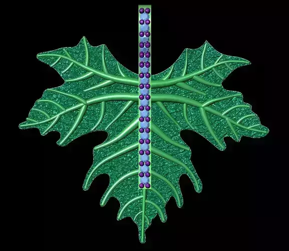 GRAPE LEAVE