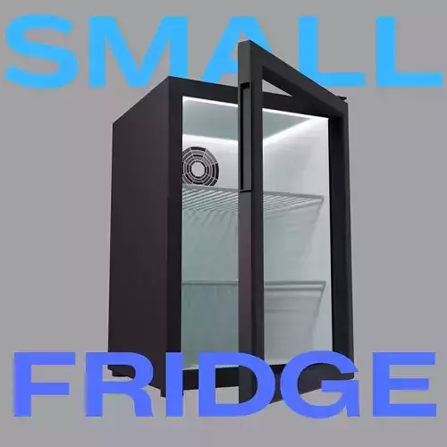 Small Fridge