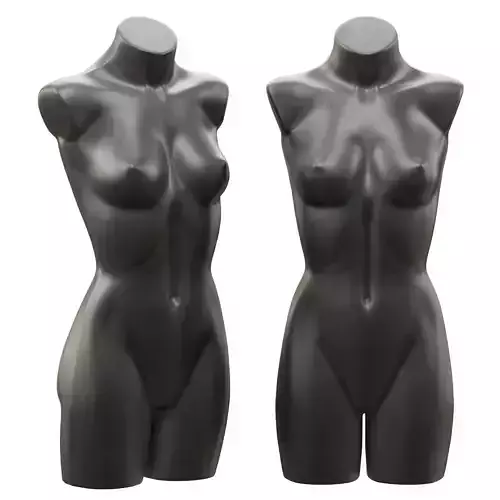 Female demonstration mannequin 3D model