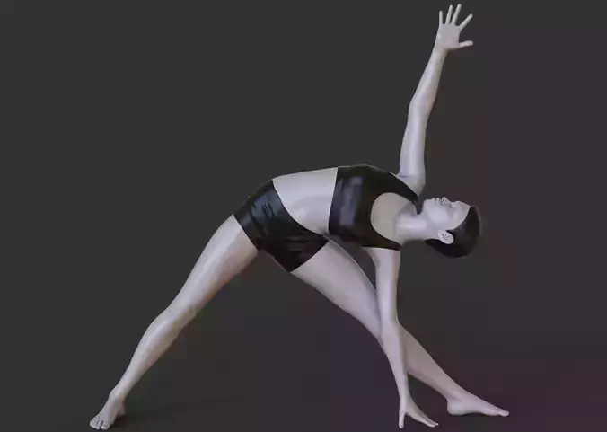 Yoga Pose - Triangle Pose 3D print model