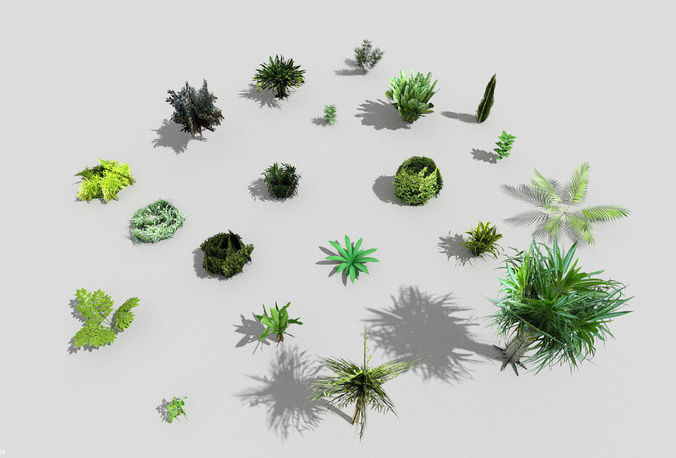 low poly foliage pack Low-poly 3D model