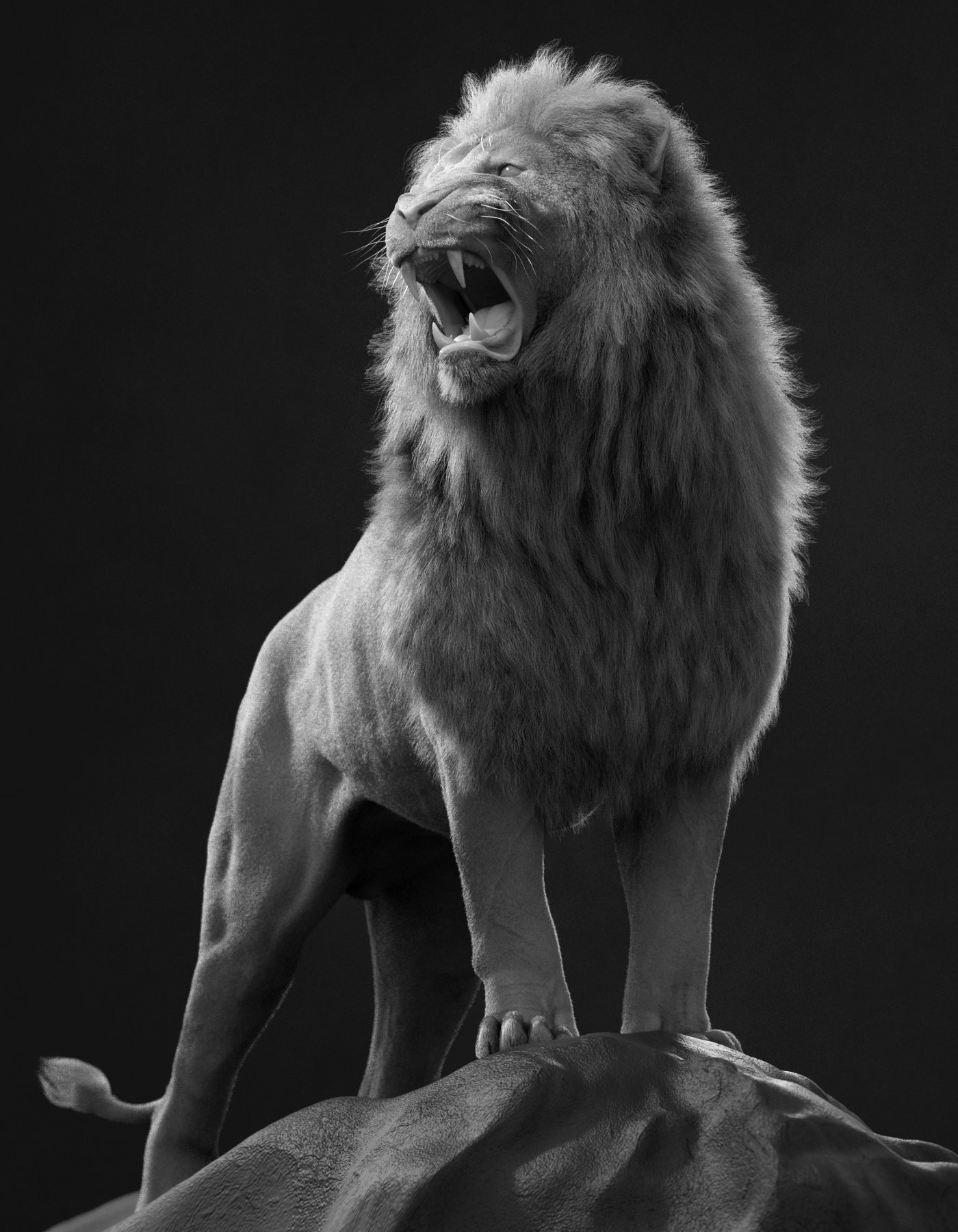 Lion 2025 - static version - Xgen-Core 3D model_3