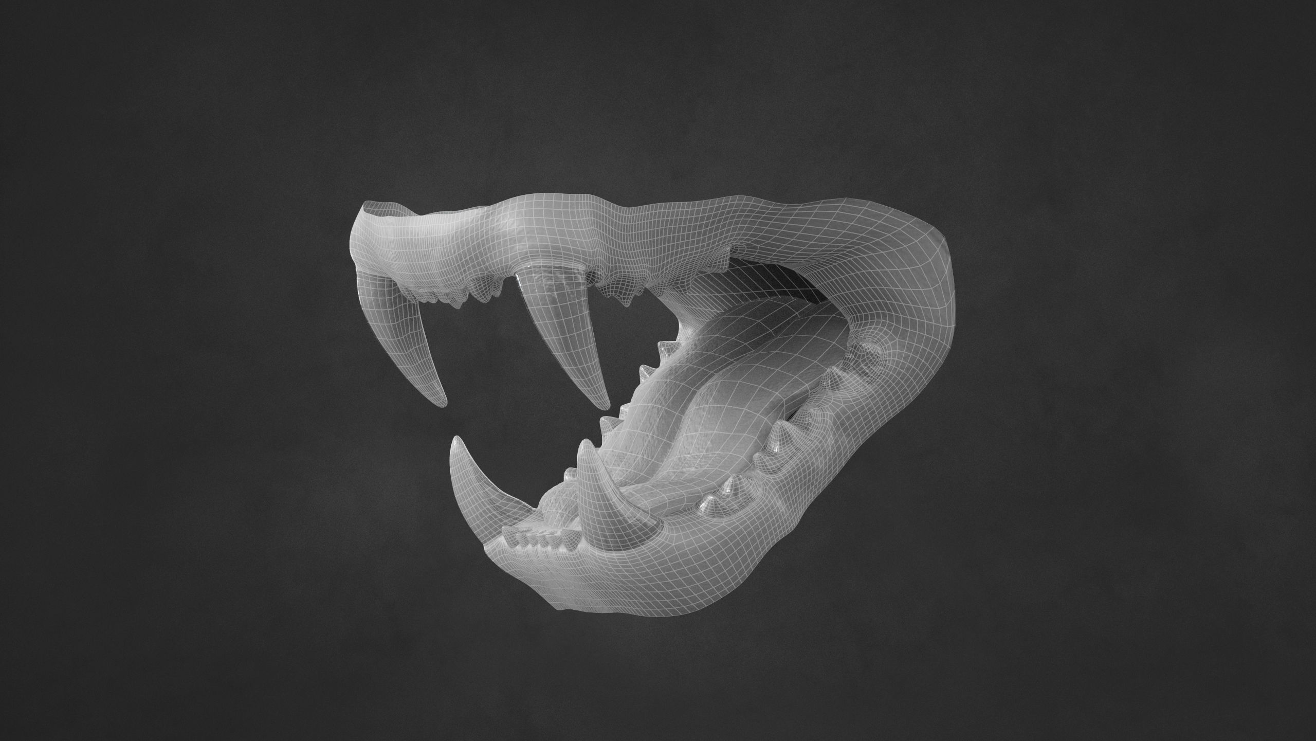 Lion 2025 - static version - Xgen-Core 3D model_25