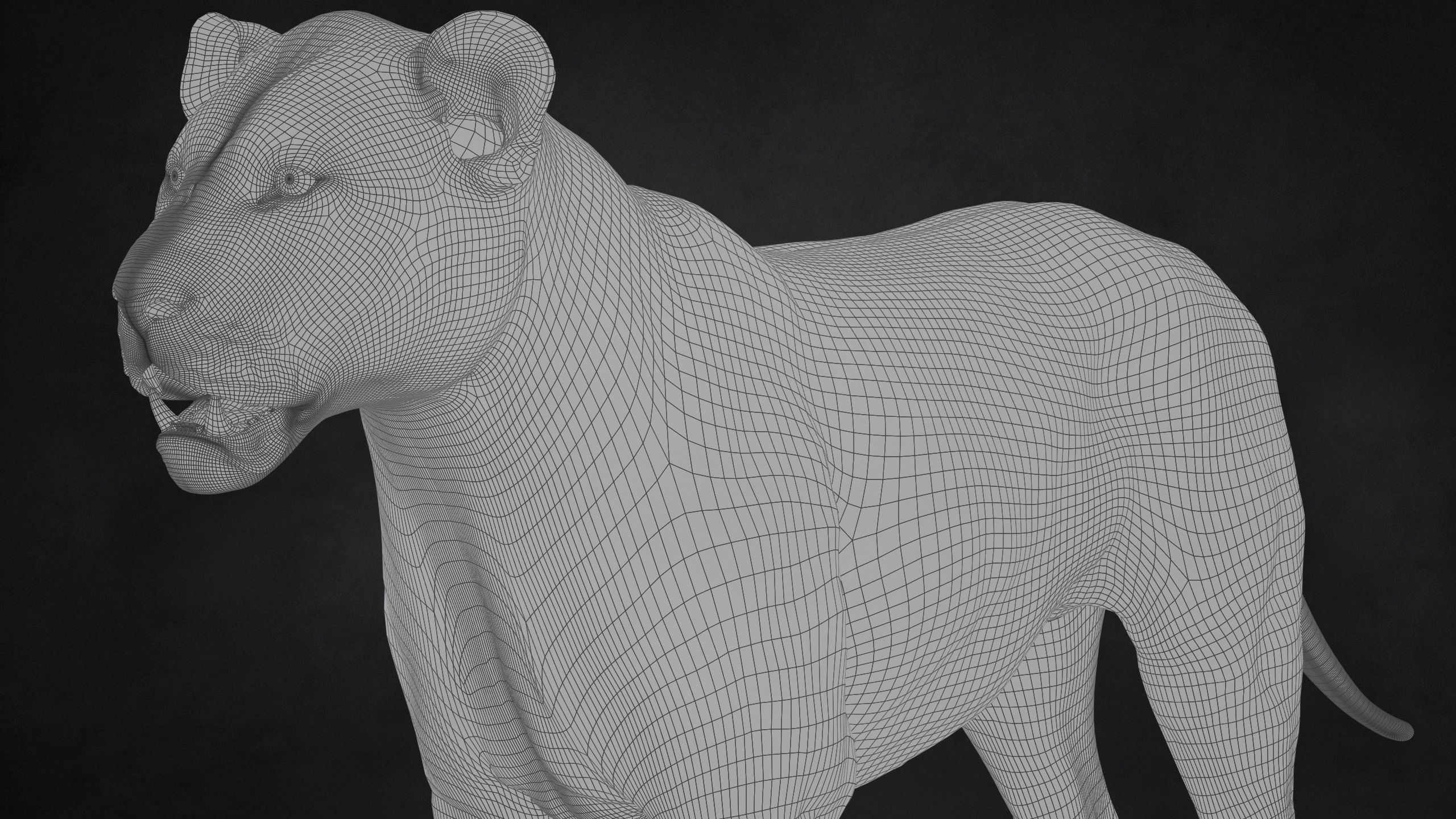 Lion 2025 - static version - Xgen-Core 3D model_24