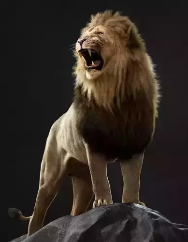 Lion 2025 - static version - Xgen-Core 3D model