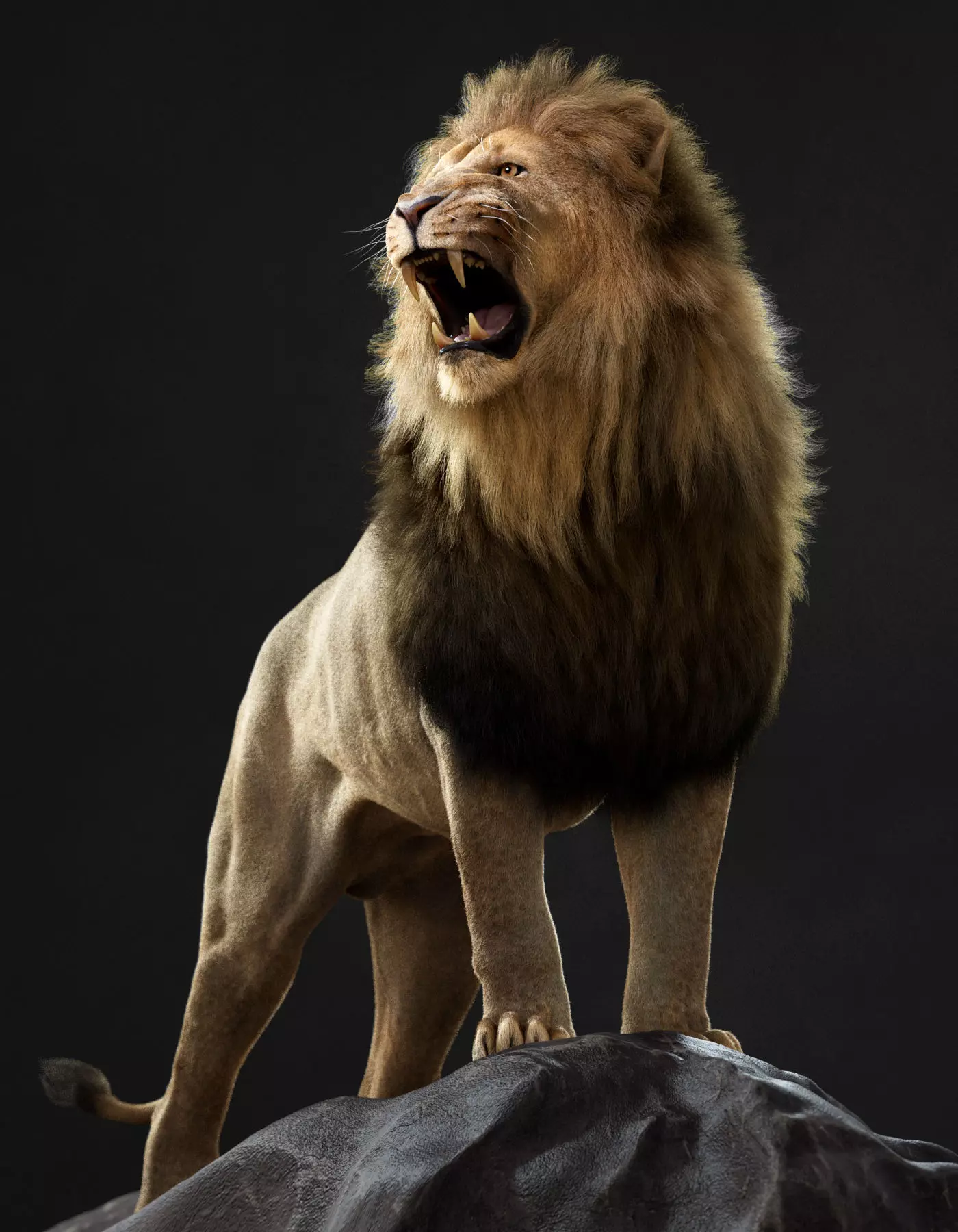 Lion 2025 - static version - Xgen-Core 3D model_0