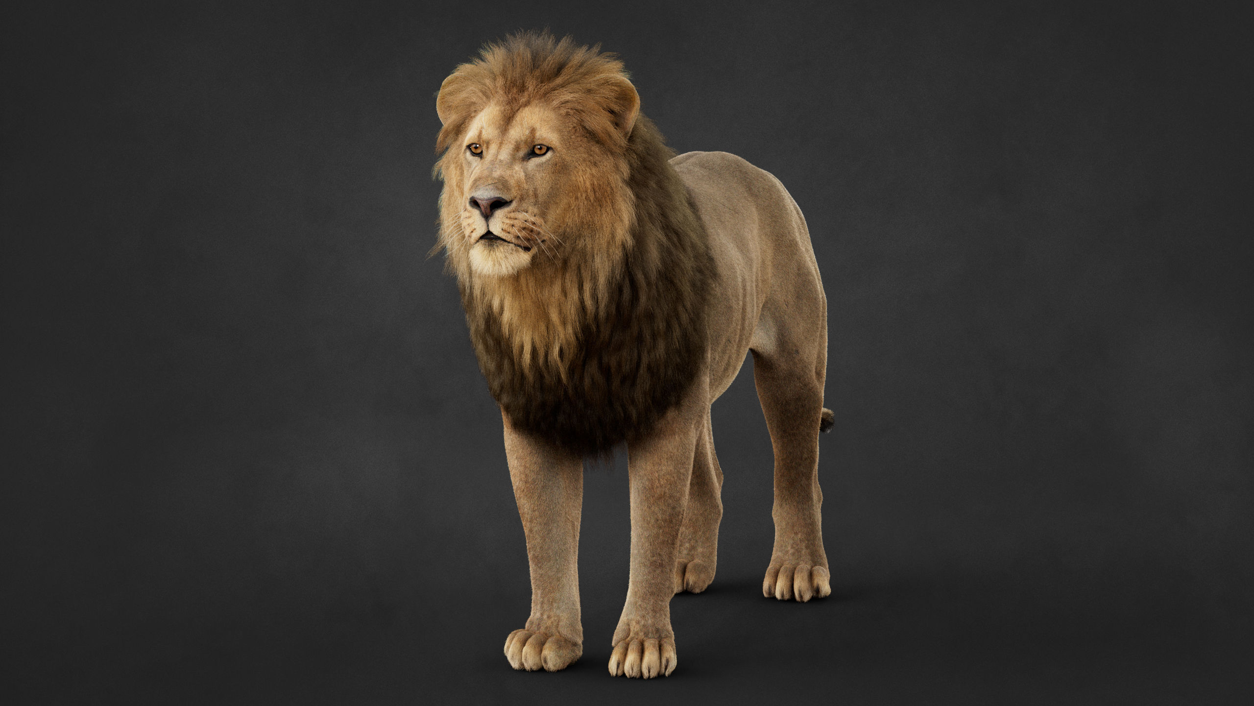 Lion 2025 - static version - Xgen-Core 3D model_8