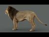 Lion 2025 - static version - Xgen-Core 3D model_1