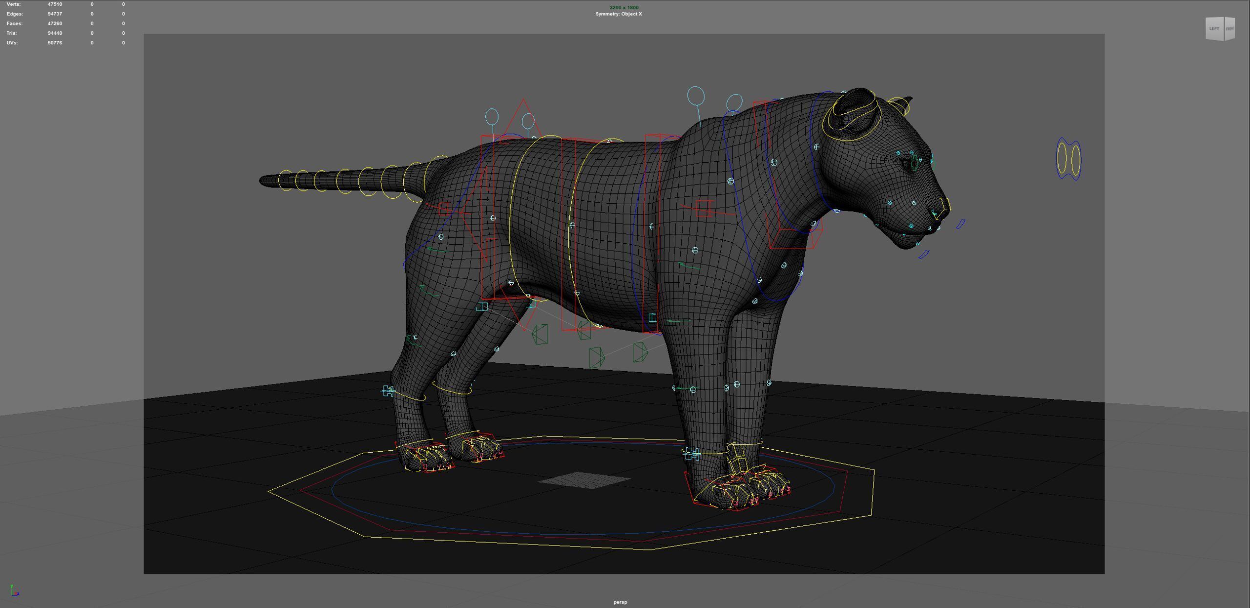 Tiger 2025 B RIG Xgen core 3D model_19