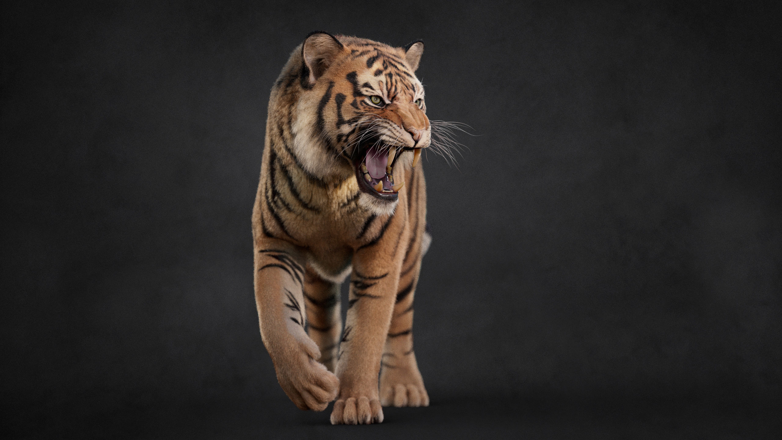 Tiger 2025 B RIG Xgen core 3D model_8