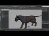 Tiger 2025 B RIG Xgen core 3D model_1