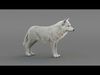 Arctic Wolf XGEN CORE RIG 3D model_1