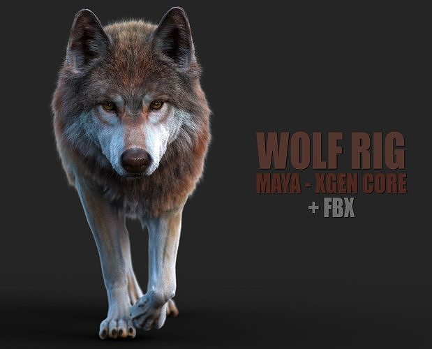 Wolf XGEN CORE RIG 3D model