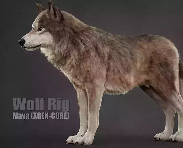Wolf XGEN CORE RIG