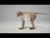 Rhesus Monkey Rig UNREAL project   Maya base rig 3D model_1