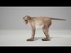 Rhesus Monkey Rig UNREAL project   Maya base rig 3D model_2