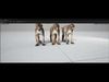 Rhesus Monkey Rig UNREAL project   Maya base rig 3D model_3
