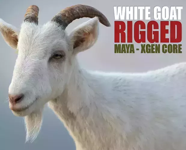 White Goat RIG Xgen Core 3D model