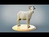 White Goat RIG Xgen Core 3D model_1