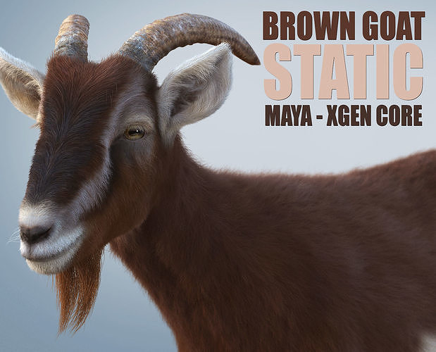 Brown Goat static Xgen Core 3D model