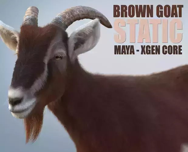 Brown Goat static Xgen Core