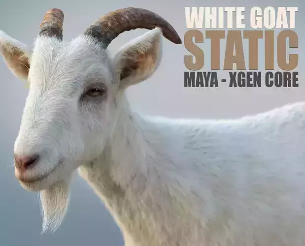 White Goat static Xgen Core 3D model
