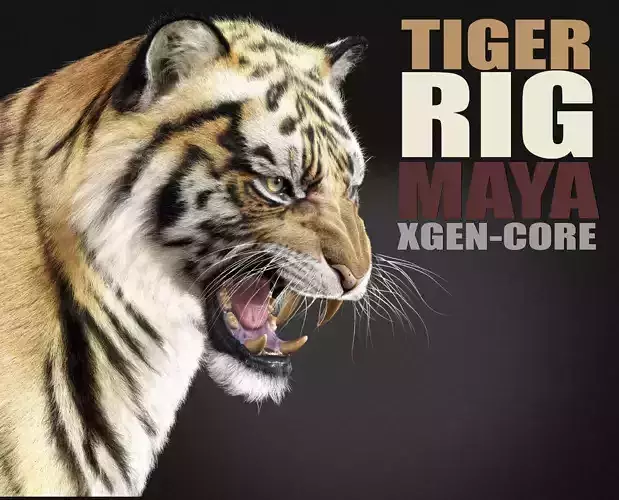 Tiger 2025 RIG Xgen core 3D model