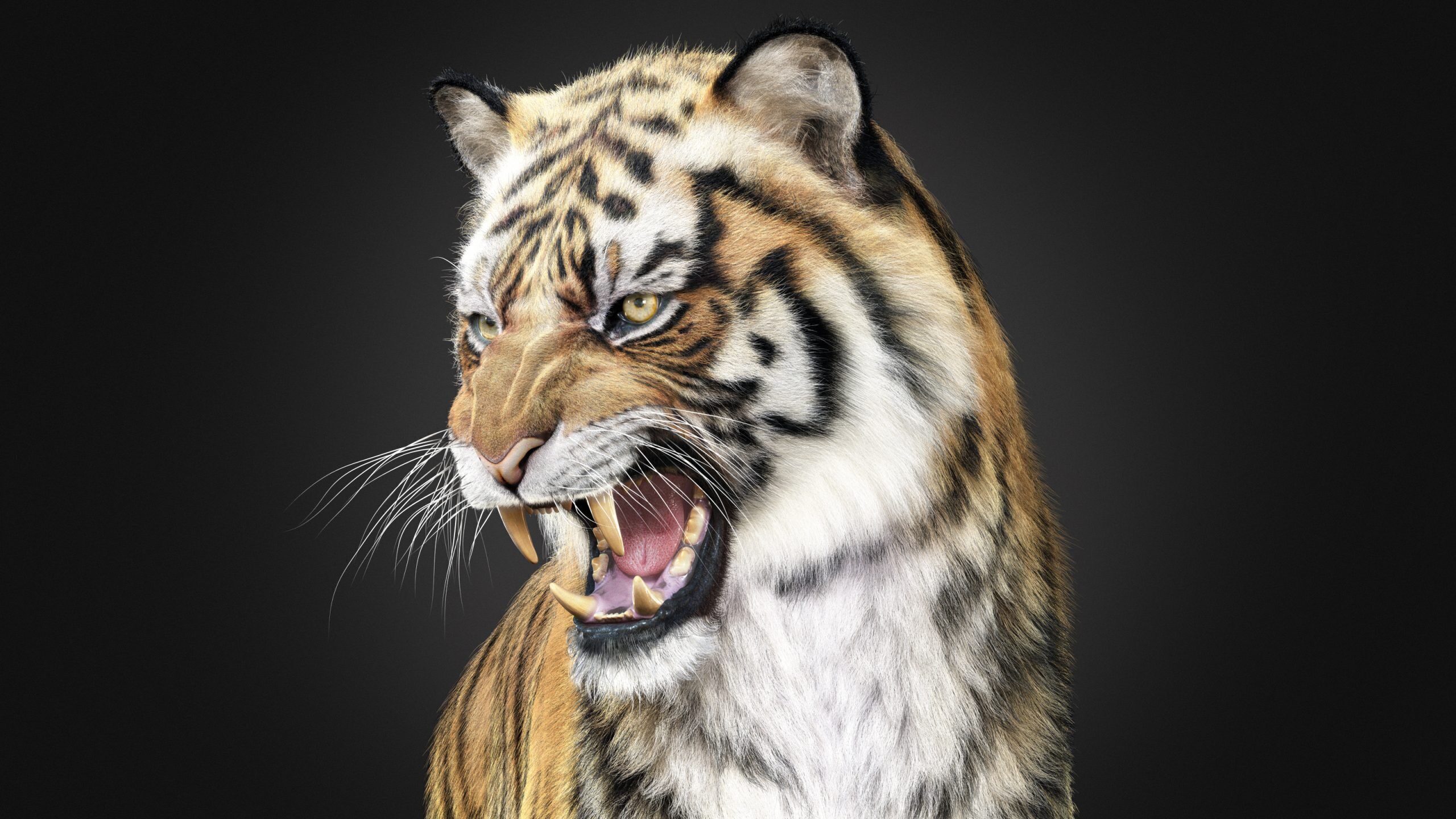 Tiger 2025 RIG Xgen core 3D model_2