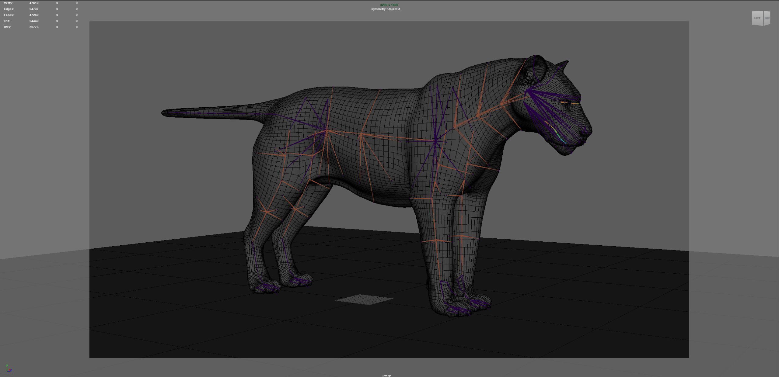 Tiger 2025 RIG Xgen core 3D model_15