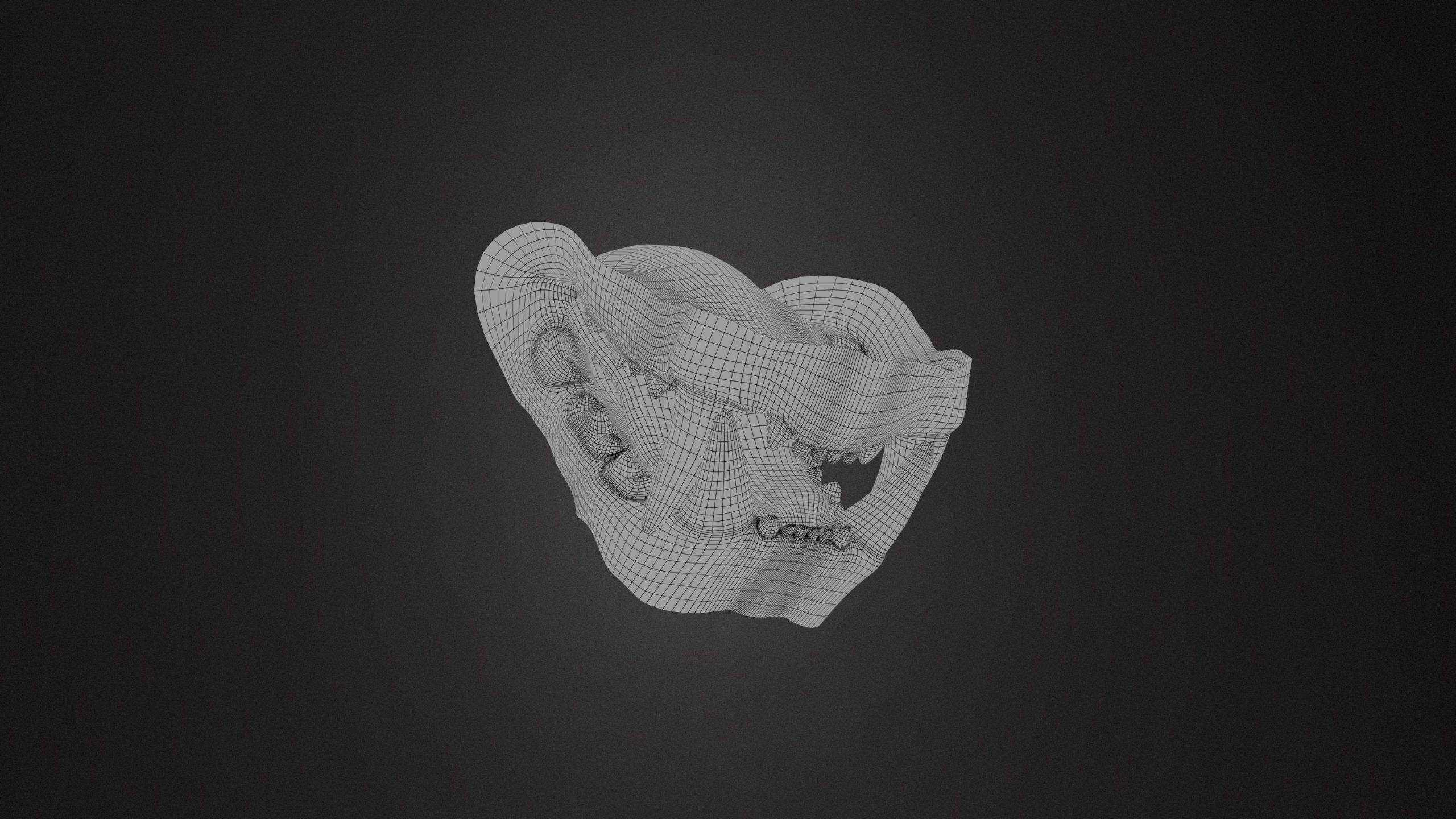 Tiger 2025 RIG Xgen core 3D model_12