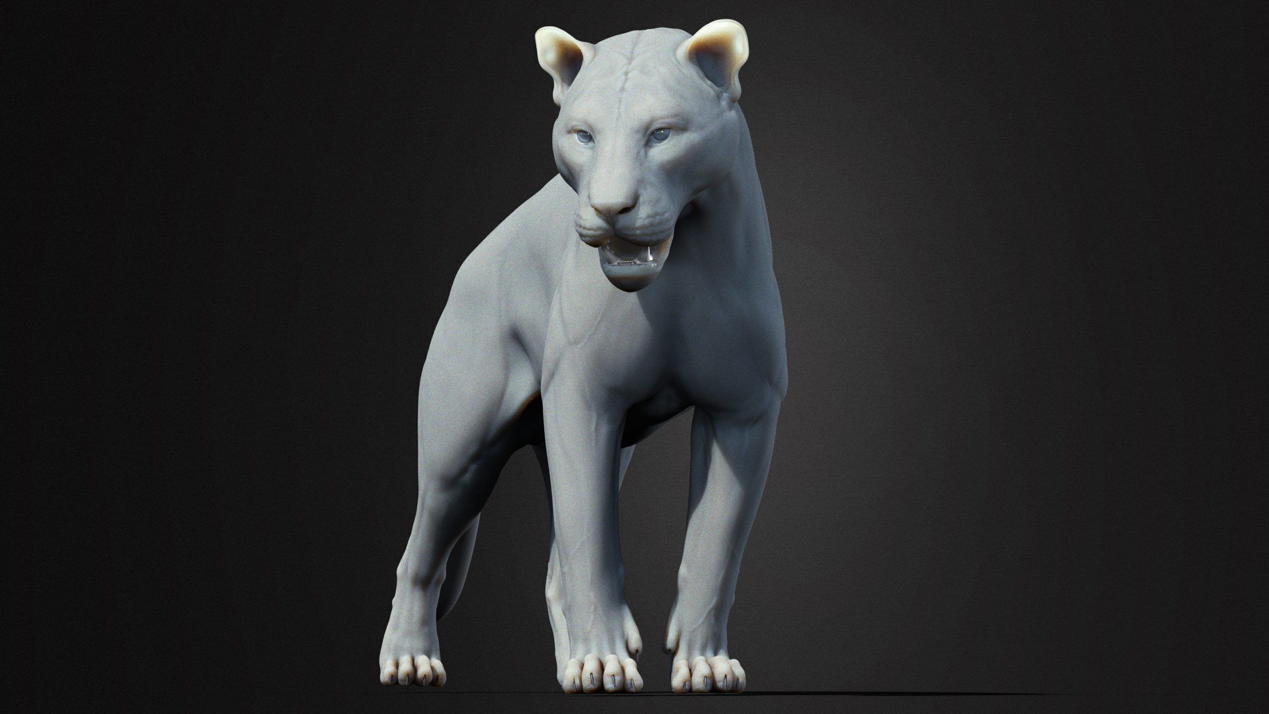 Tiger 2025 RIG Xgen core 3D model_9