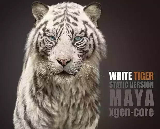 White Tiger 2025 static Xgen Core