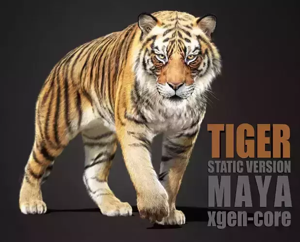 Tiger 2025 static Xgen Core
