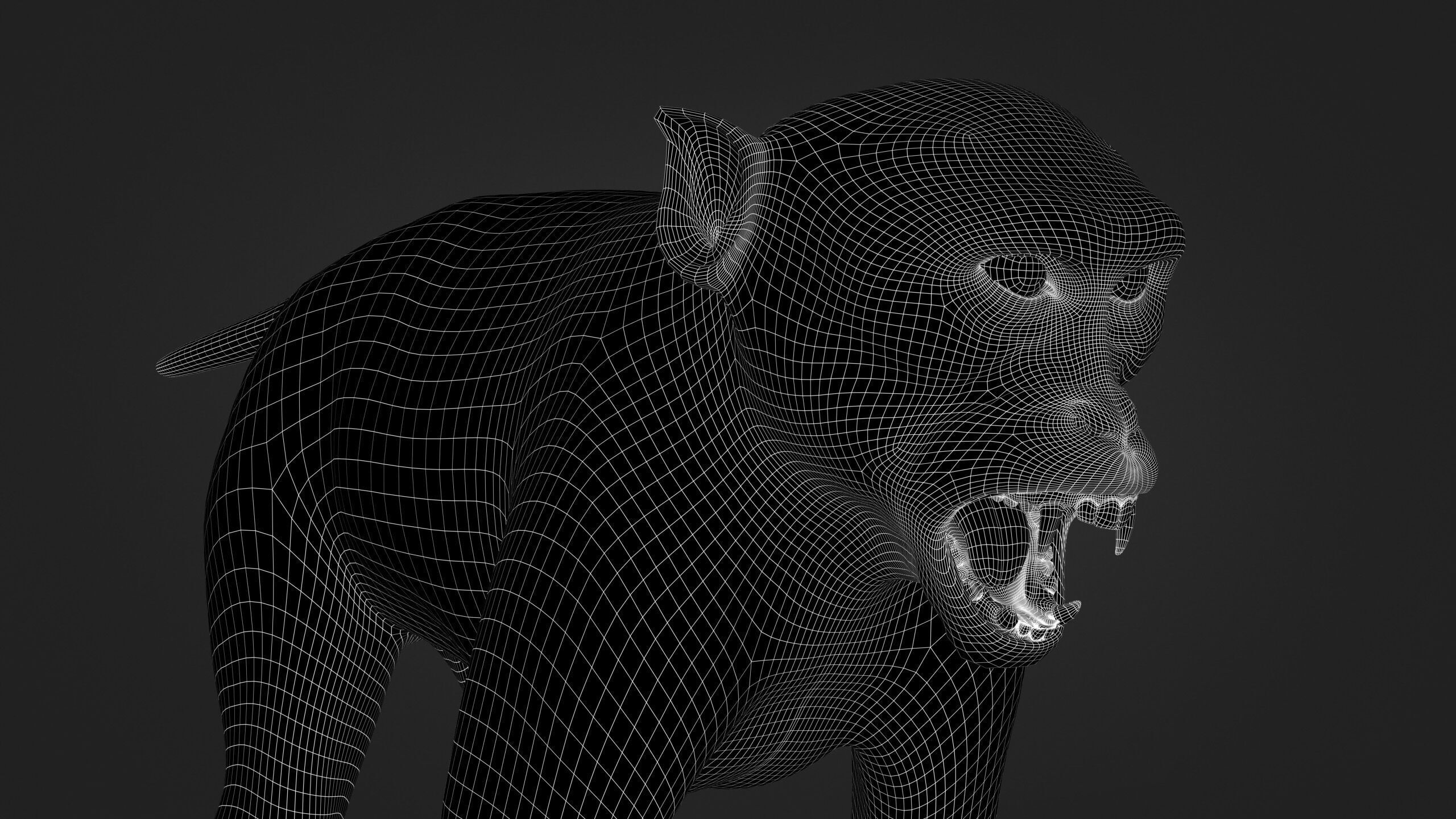 Rhesus Monkey RIG Xgen core 3D model_18