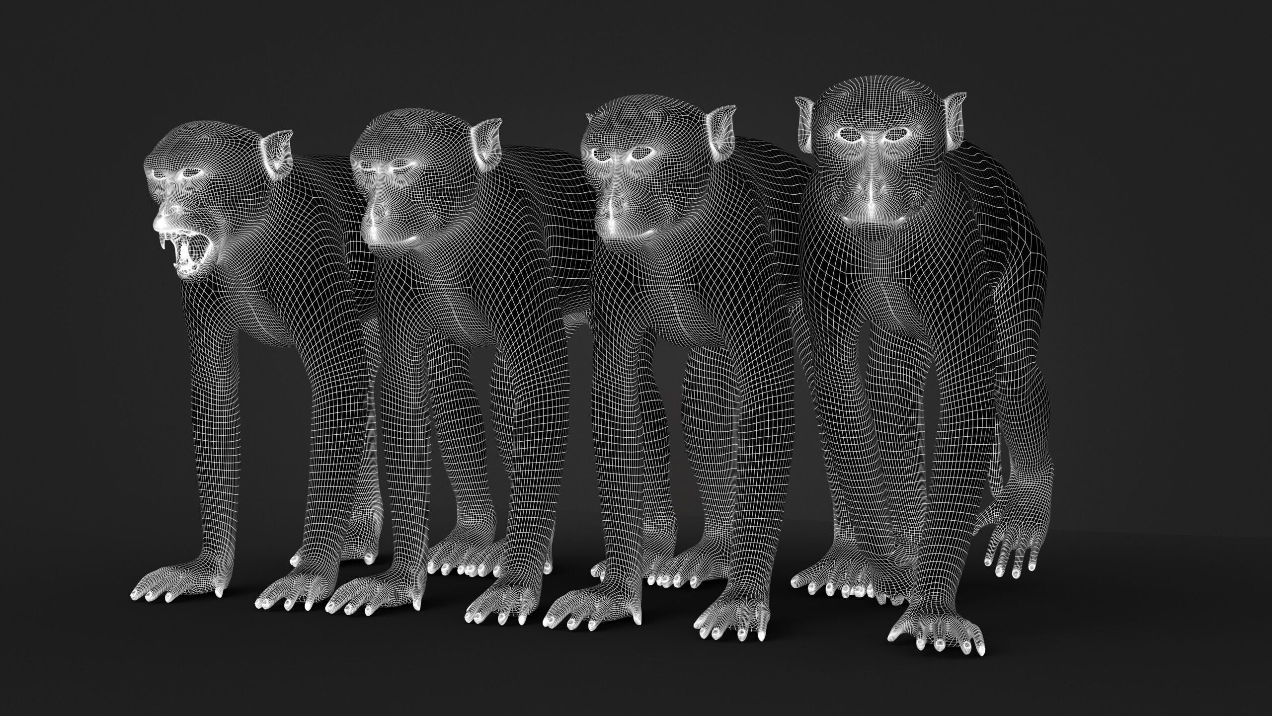 Rhesus Monkey Static Xgen core 3D model_18