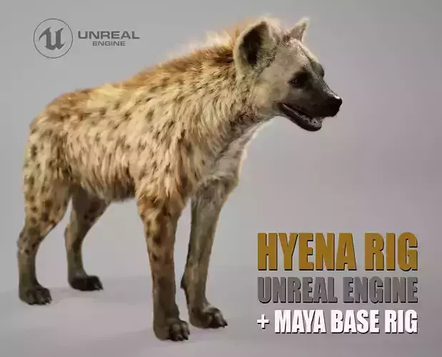 Hyena Rig UNREAL project   Maya base rig 3D model