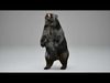 Black Bear Animated UNREAL project  Maya base rig 3D model_1