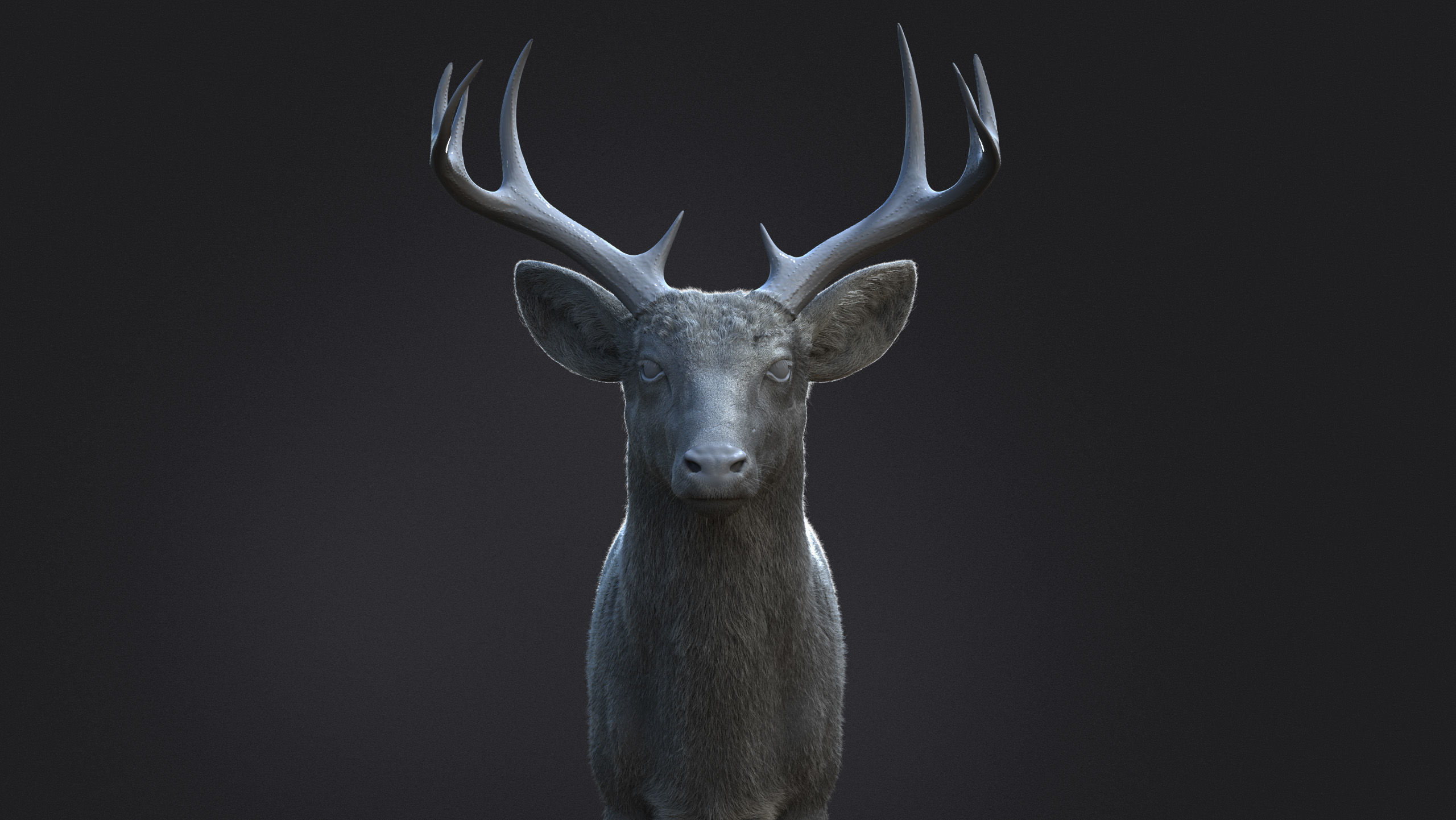 Deer 2025 static version XGEN CORE 3D model_11