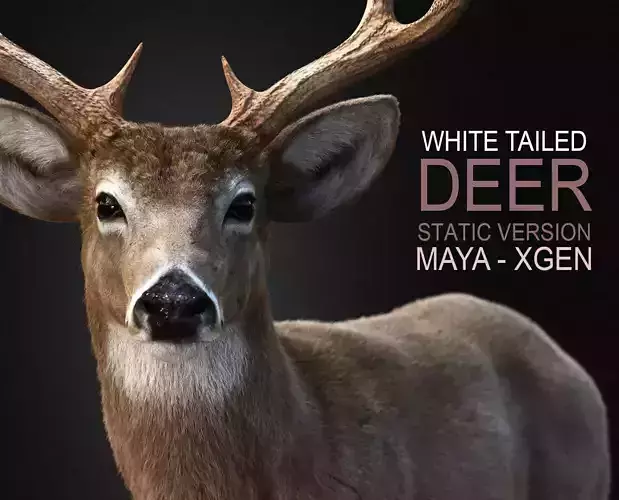 Deer 2025 static version XGEN CORE 3D model