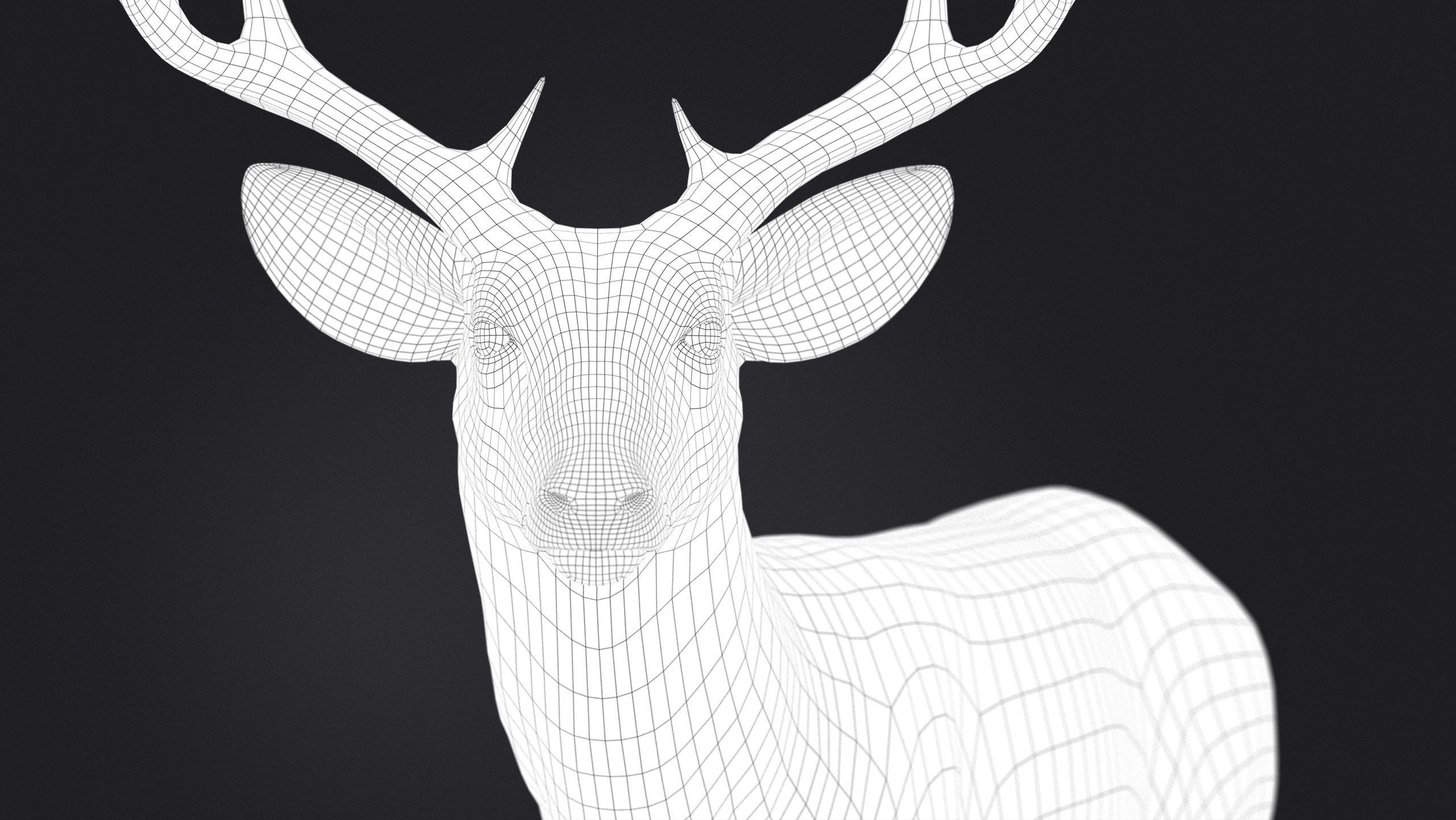Deer 2025 static version XGEN CORE 3D model_12