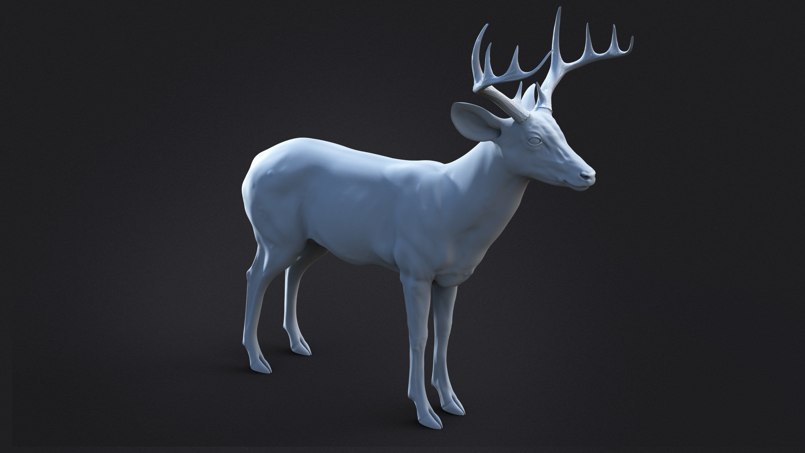 Deer 2025 static version XGEN CORE 3D model_10