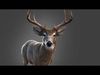 Deer 2025 static version XGEN CORE 3D model_2