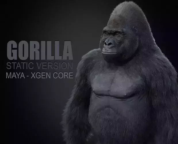 Gorilla 3 STATIC XGEN CORE 3D model