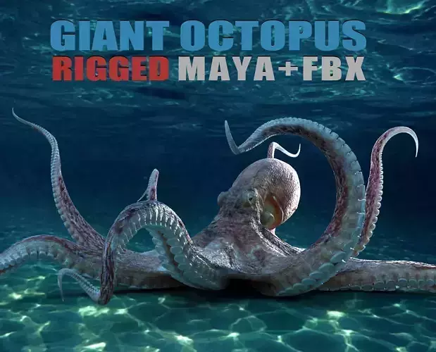 Giant Octopus RIG