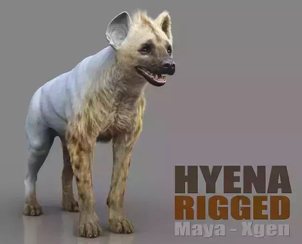 Hyena RIG Xgen core 3D model