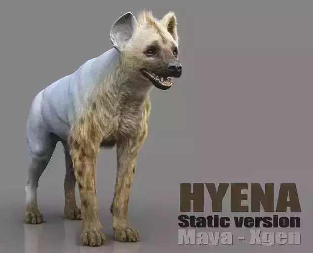 Hyena Static  Xgen core 3D model
