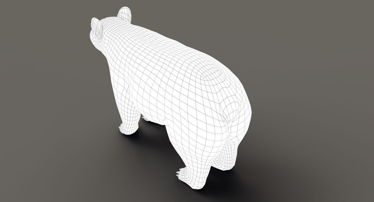 Black Bear ANIMATED Xgen core 3D model_16