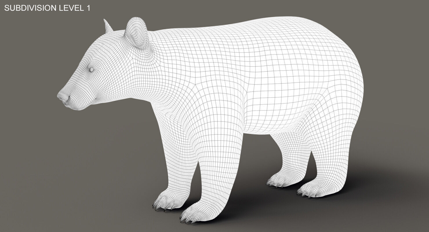 Black Bear ANIMATED Xgen core 3D model_10