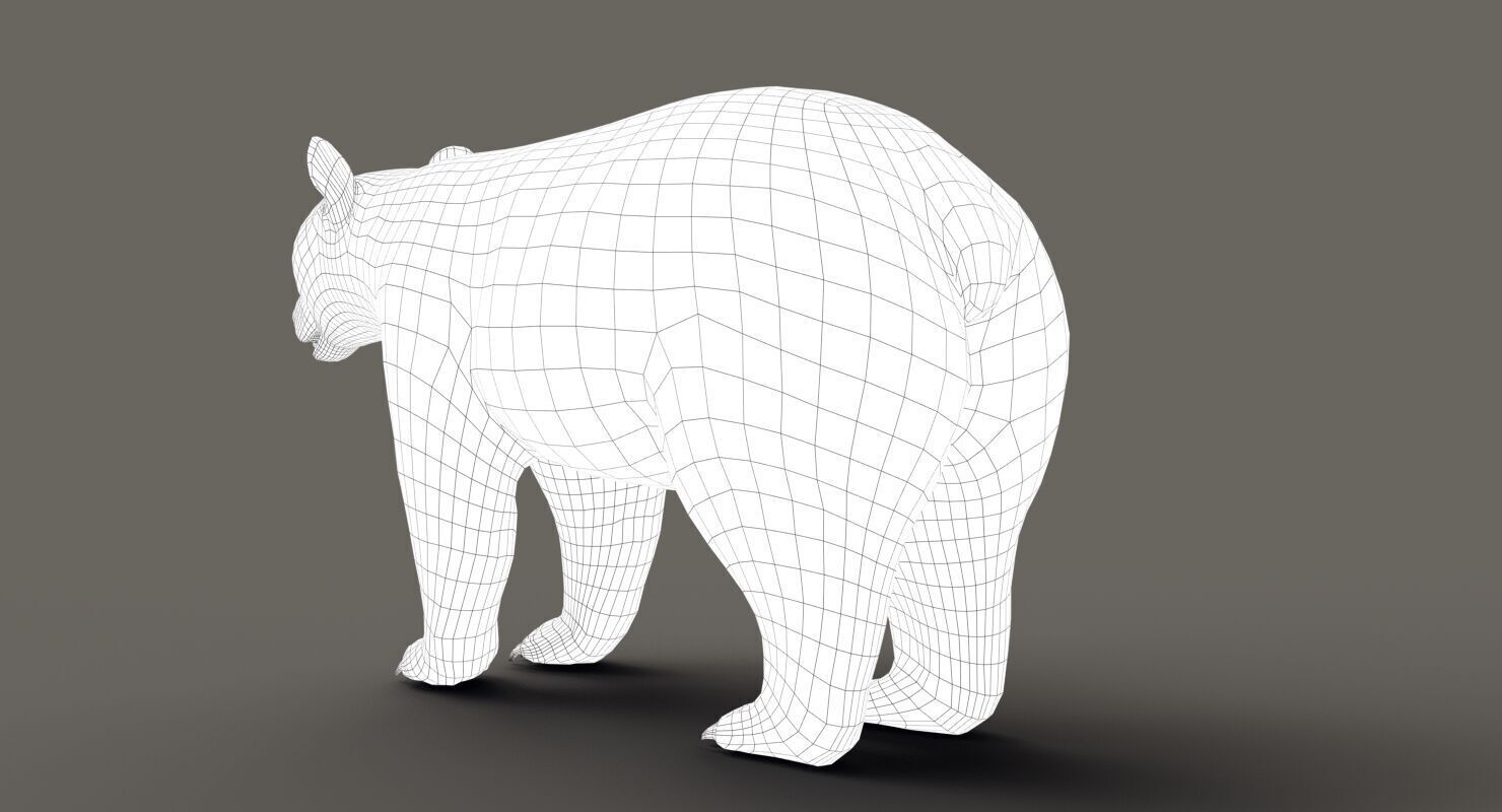 Black Bear ANIMATED Xgen core 3D model_15