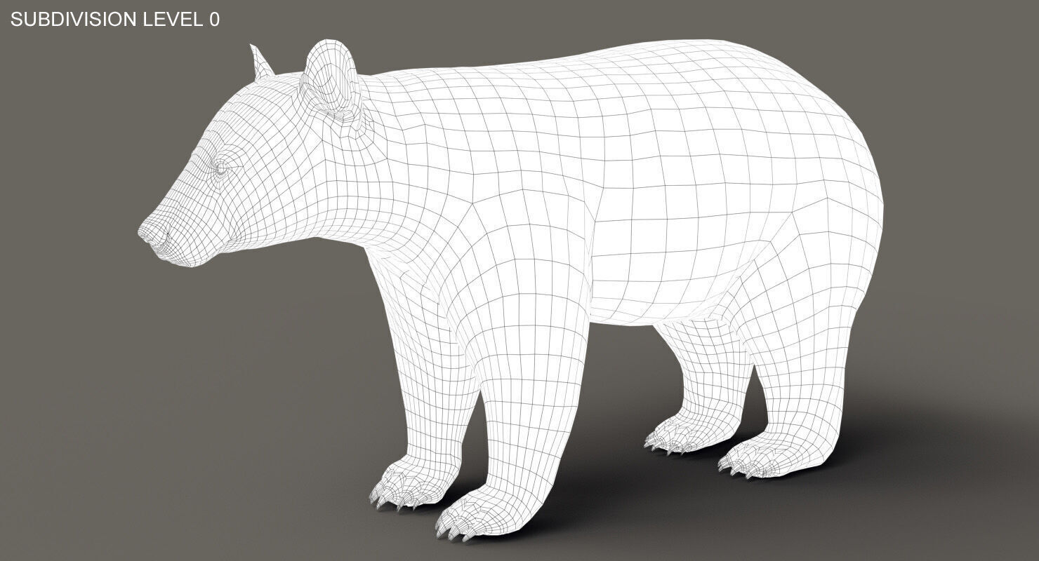 Black Bear ANIMATED Xgen core 3D model_9